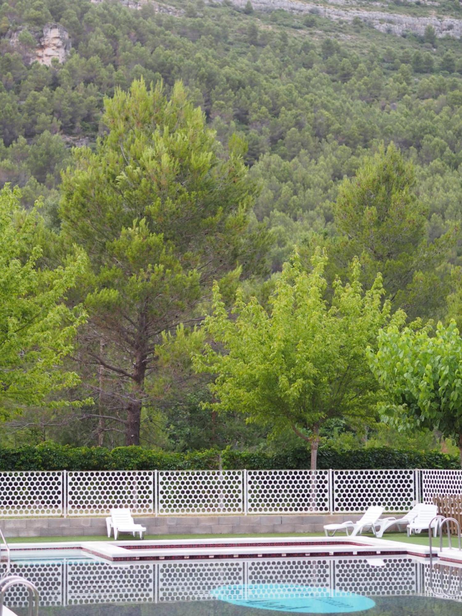 Moli L'abad *