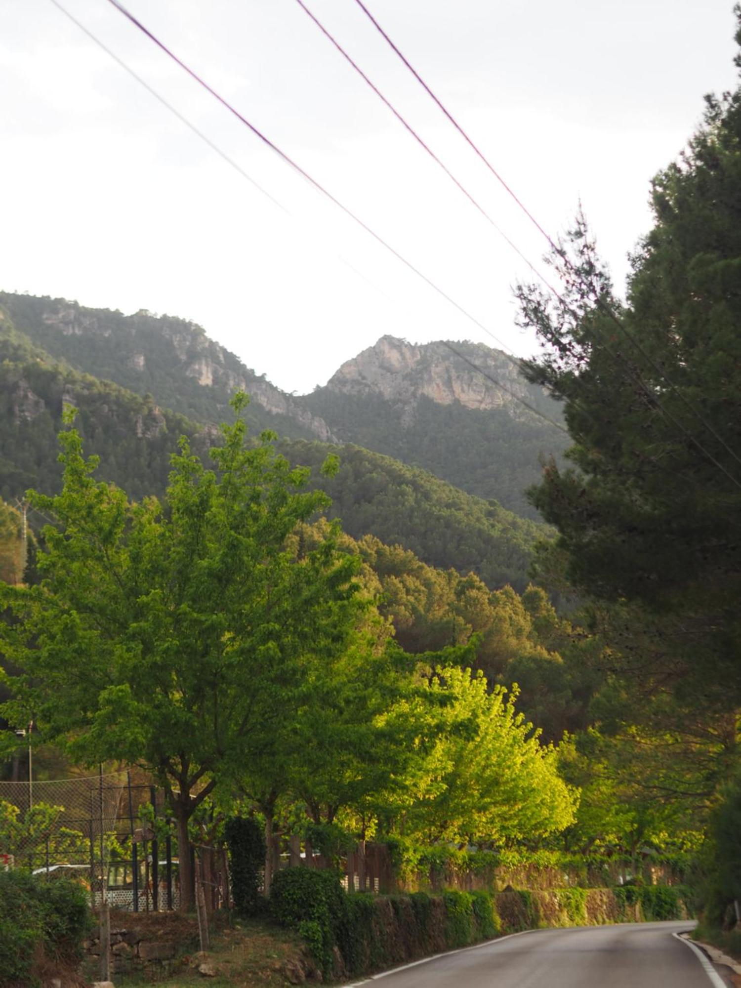 Moli L'abad Campsite