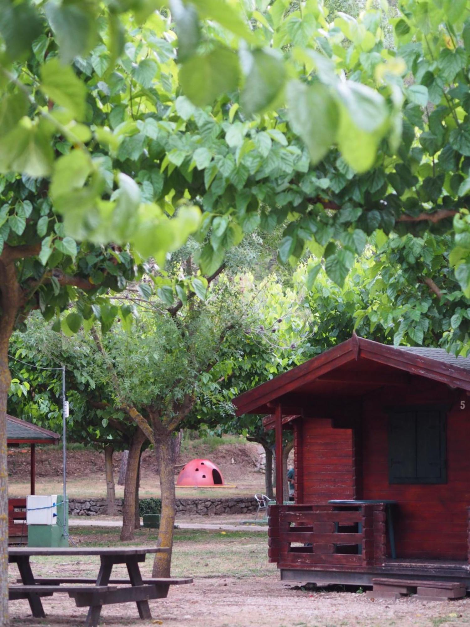 Moli L'abad Campsite