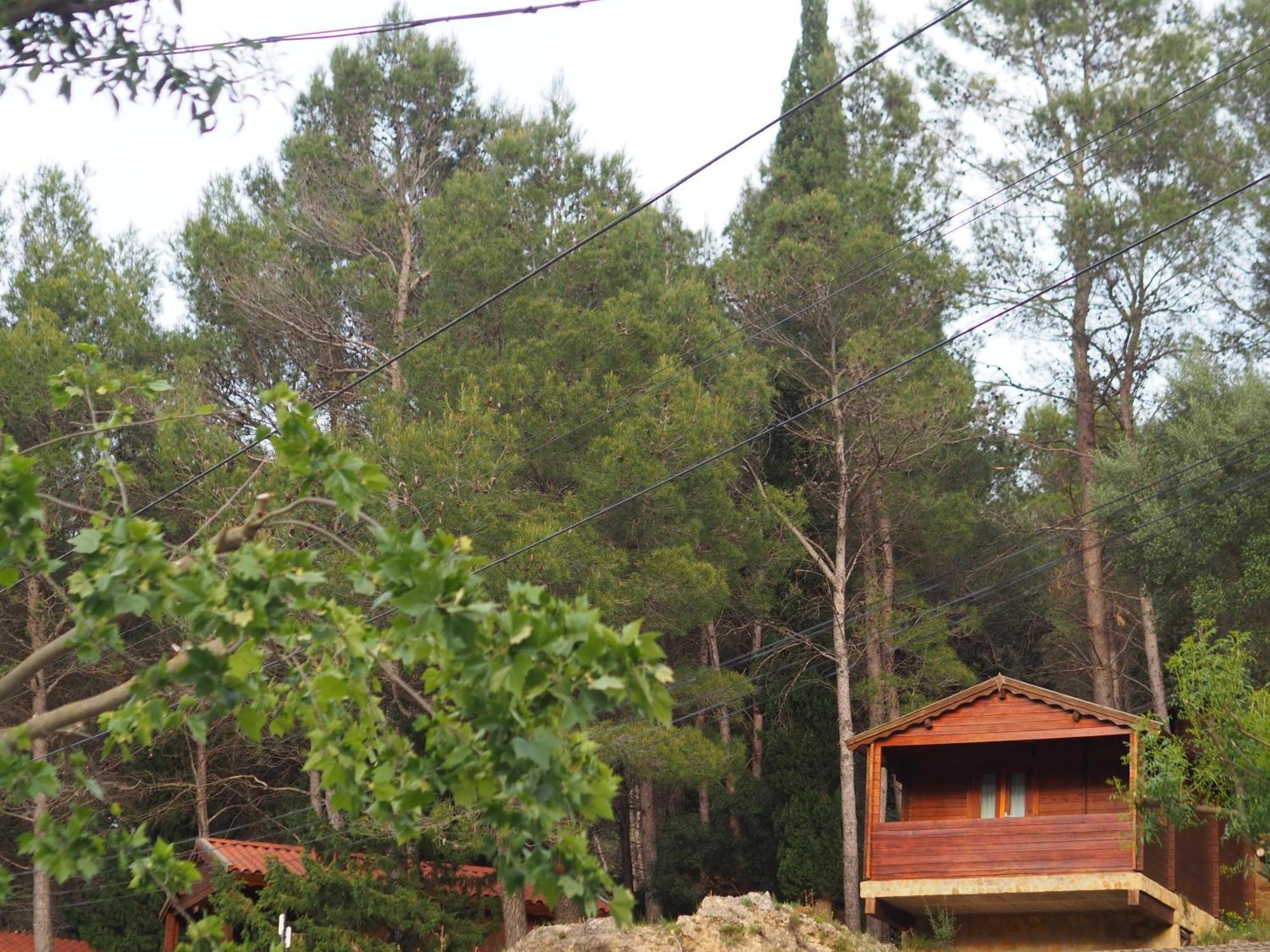 Campingplatz Moli L'abad Puebla de Benifasar