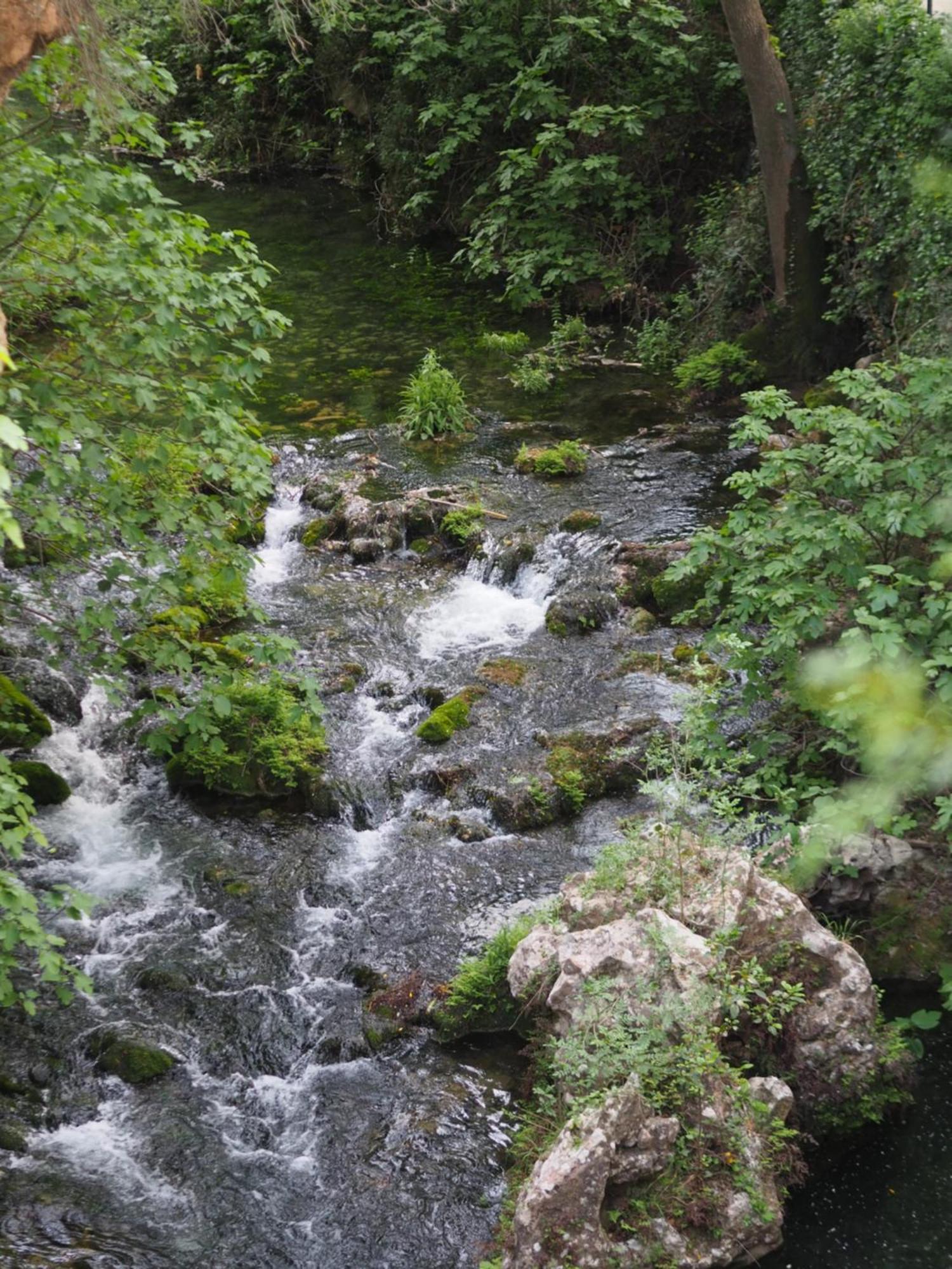 Moli L'abad Campsite