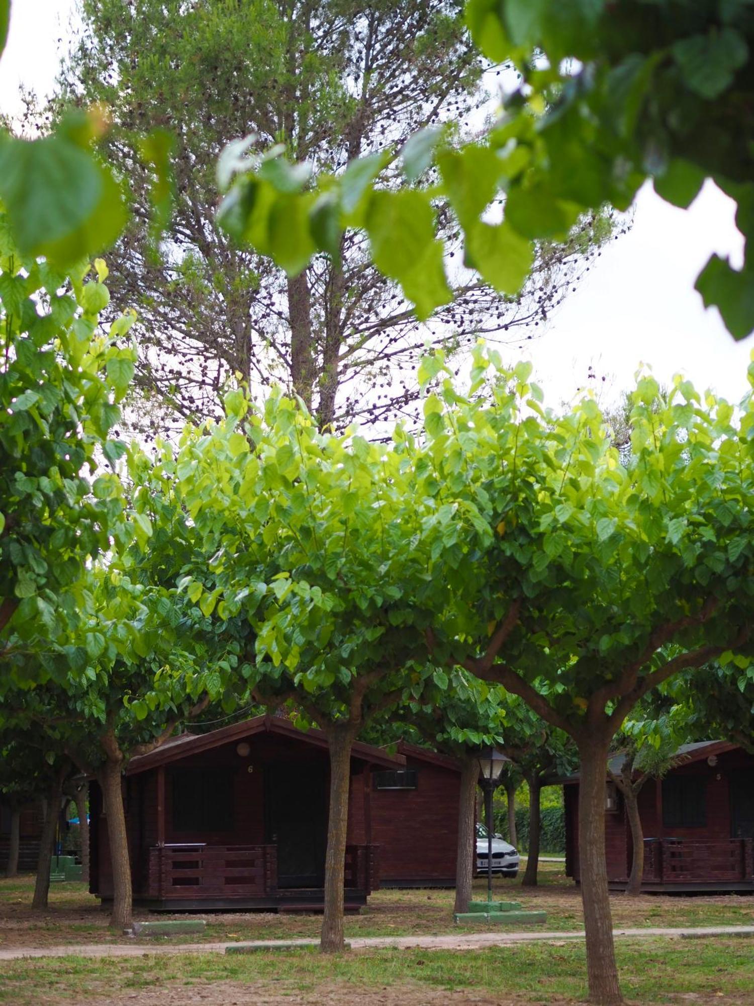 Moli L'abad Campsite *